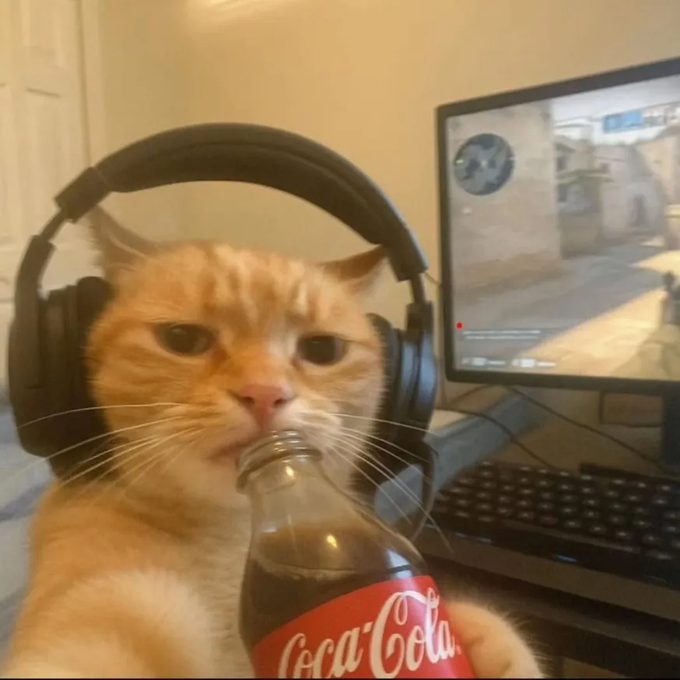 A cat holding a soda bottle